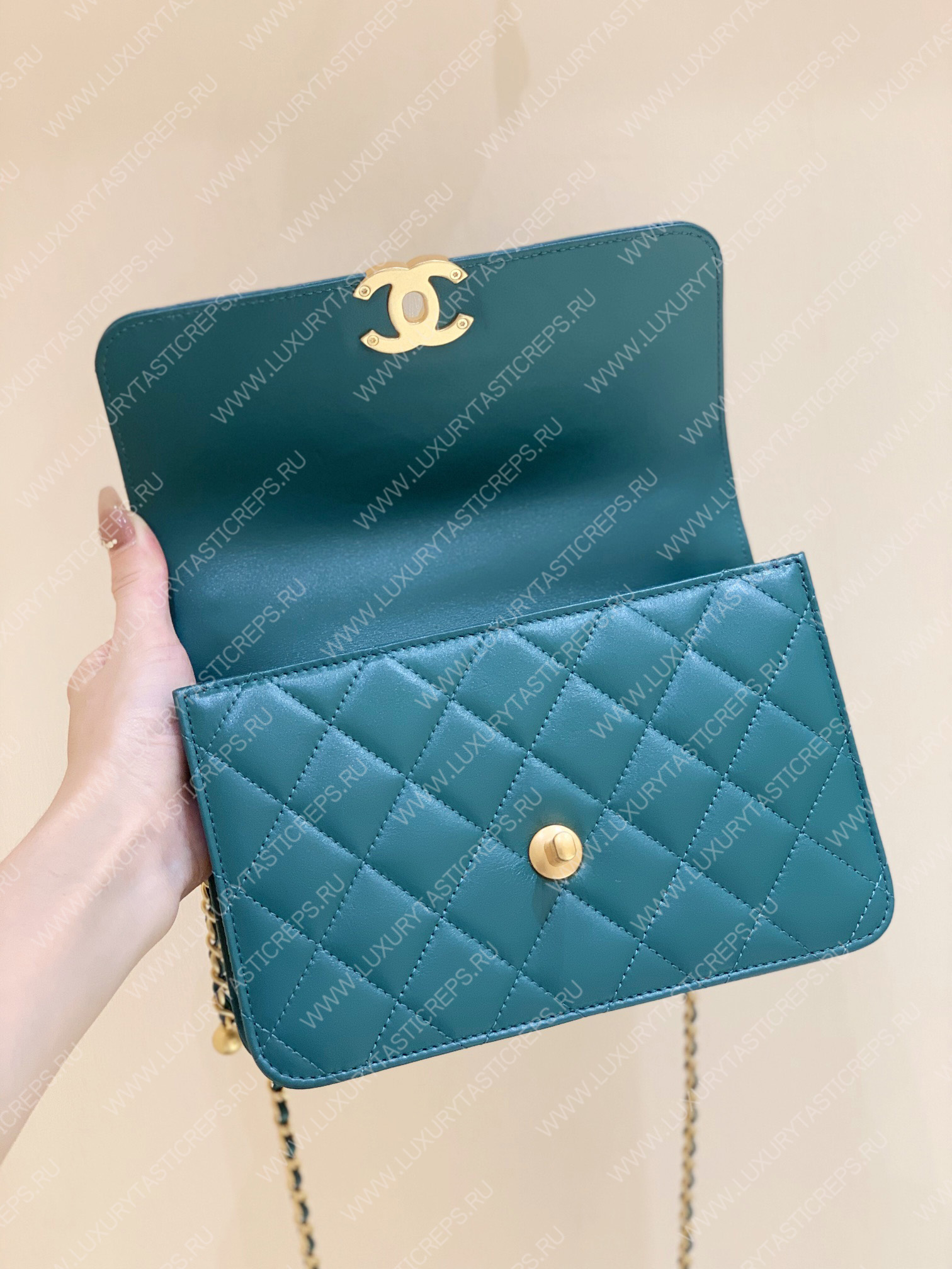 Ch*el wallet on chain green ap2649