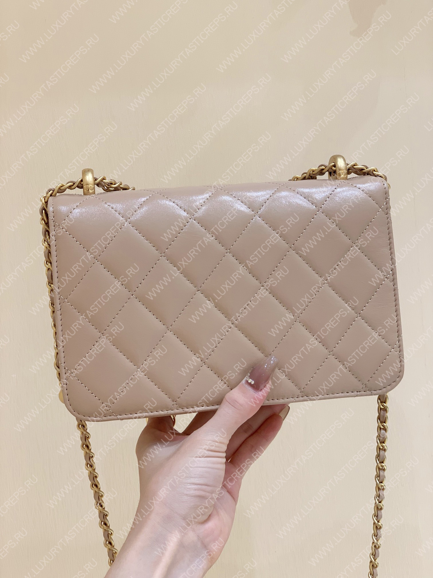 Ch*el wallet on chain beige ap2649