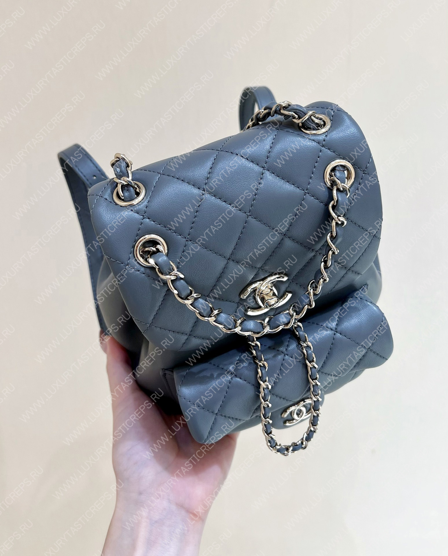 Ch*el duma backpack grey as1160